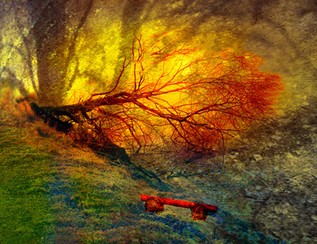 Mixed media 12 13disruption 1
