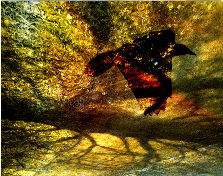Mixed media 4 4escape 1