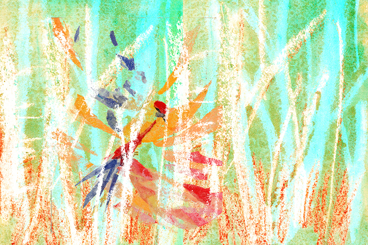 Mixed media 29 The bird